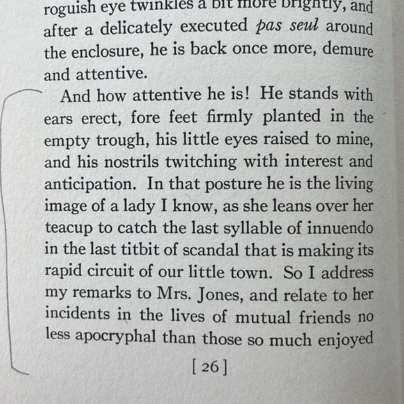 Bucolic Beatitudes by Rusticus, Illustrated by Decie Merwin, Little Brown 1927 - Picture 12 of 14